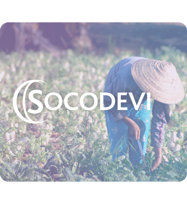 Logo Socodevi