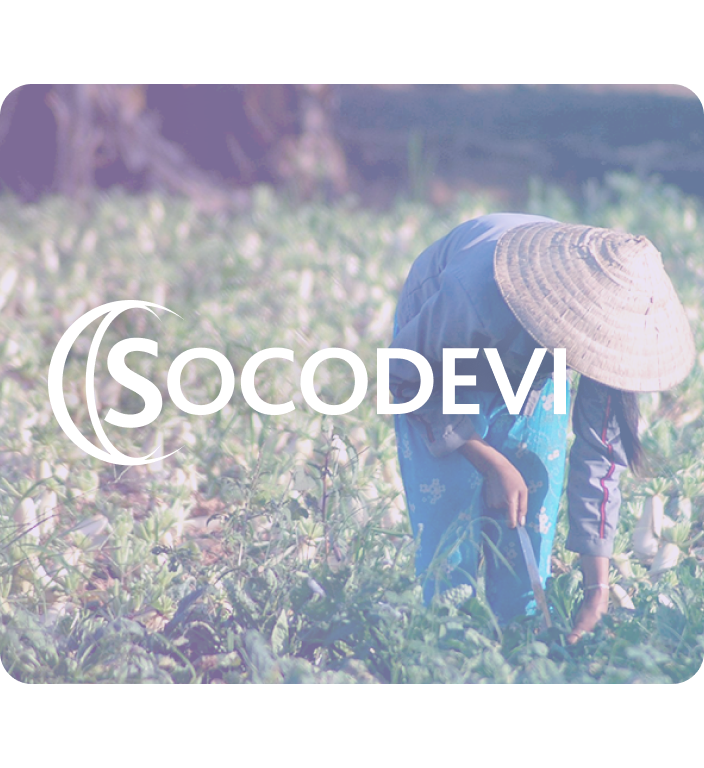 Logo Socodevi