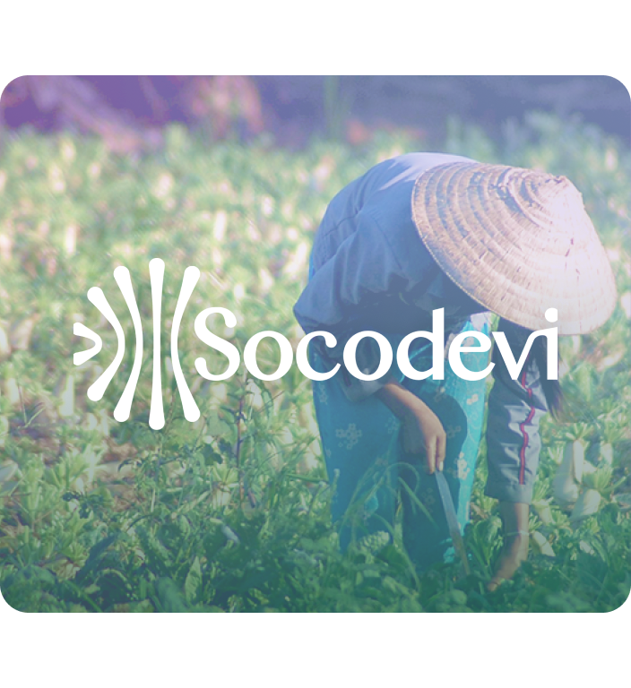 Logo Socodevi